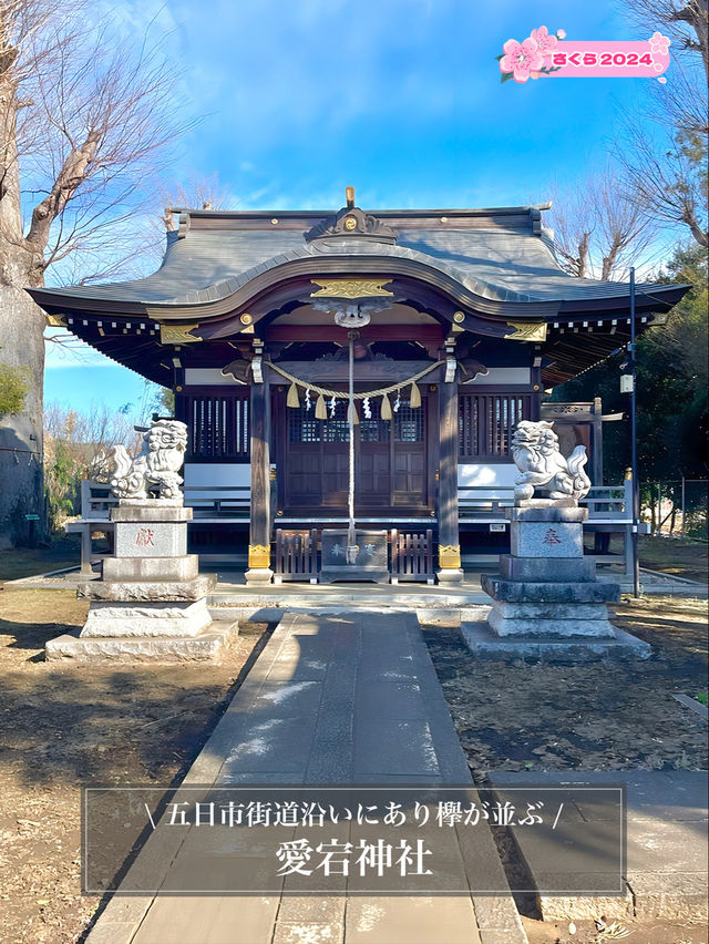 【北町愛宕神社/東京都】五日市街道沿いにあり欅が並ぶ