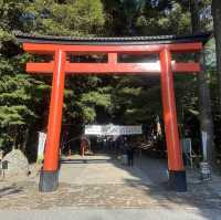 【霧島神宮】值得參觀的古老神社⛩️