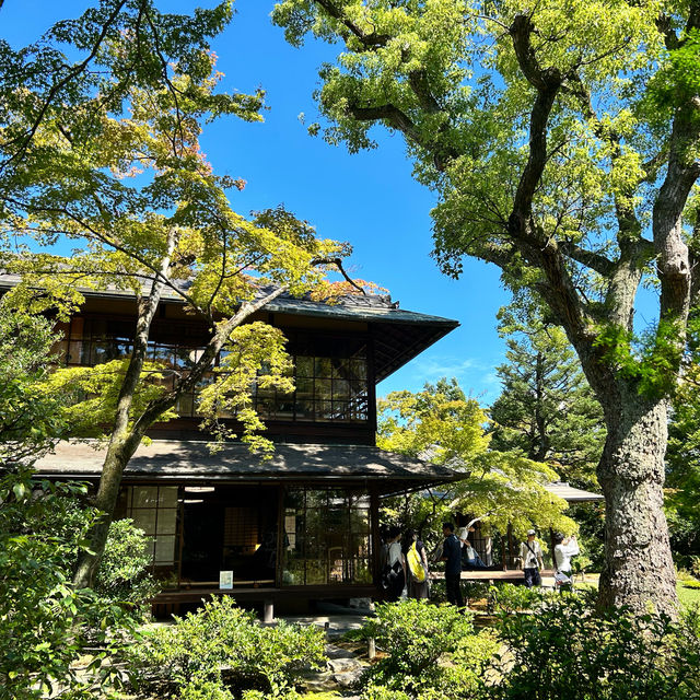 在京都遠離塵囂的靜謐庭院