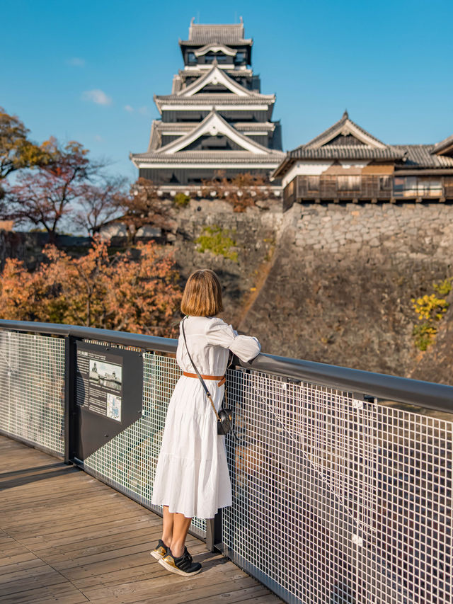 Kumamoto Castle 🏯แลนด์มาร์คดังแห่งเมืองคุมาโมโตะ