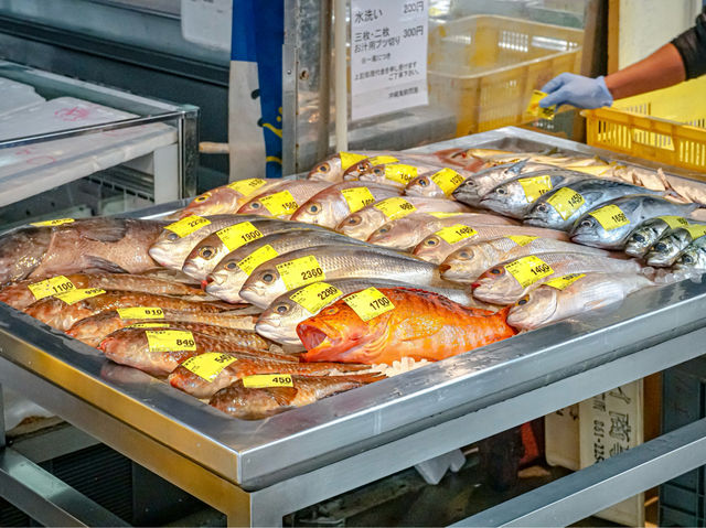 【泊港漁市場】新鮮海鮮刺身，適合一人享用