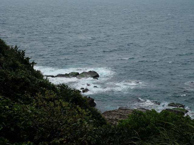 เดินศึกษาธรรมชาติที่ Bitou Cape Taiwan