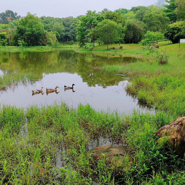 「城市綠心森林公園～清新休憩去處」