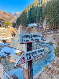 【長野】世界で唯一温泉に入るサルを間近で見れる場所
