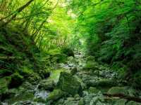  Yasui Gorge