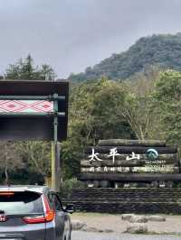 【宜蘭太平山】森林感滿滿！蹦蹦車遊覽，感受森林漫步！