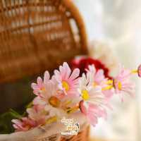 เติมเต็มคาเฟ่&แคมป์ปิ้ง by สวนเขาจุก