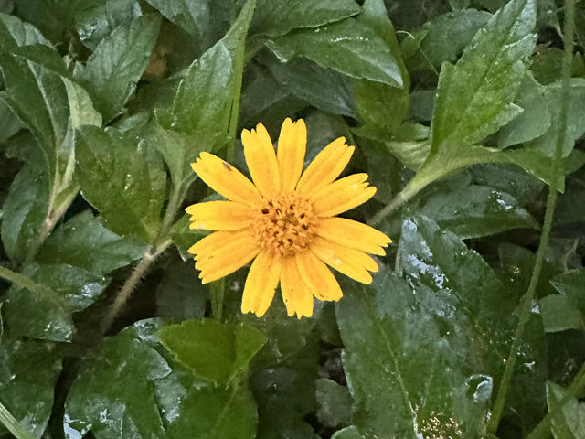 【春天好去處】塔門：漁村風情、古廟、大自然景觀，一次滿足三個願望‼️