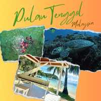 Tenggol Treasures: Diving into Terengganu's Natural Paradise🏖️