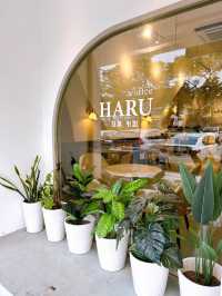 Haru Cafe A Cozy Afternoon
