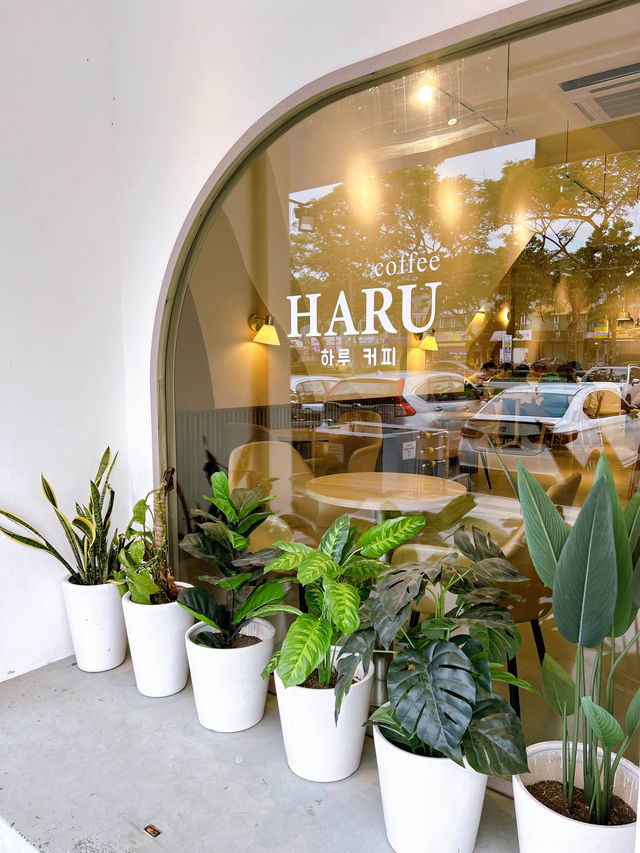 Haru Cafe A Cozy Afternoon