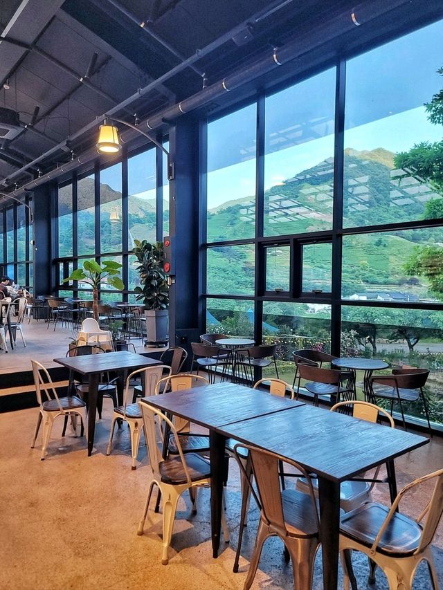 지리산과 장미 콜라보가 아름다운 하동카페🌹🌿