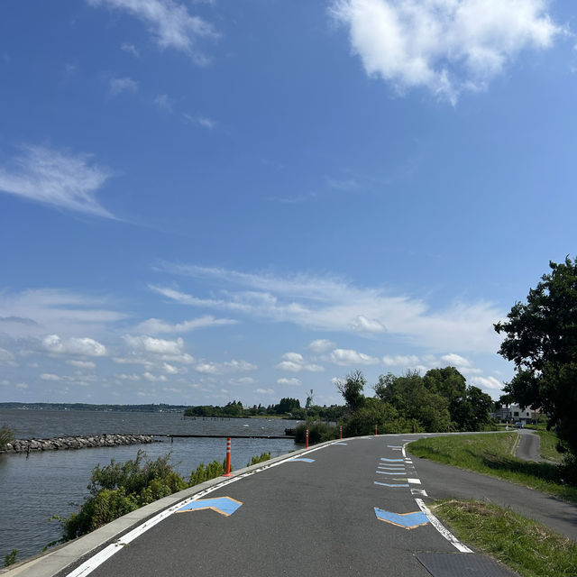 【茨城】霞ヶ浦をサイクリング♡