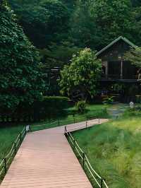 🛤 พักดื่มในสวนยาง Into the fores