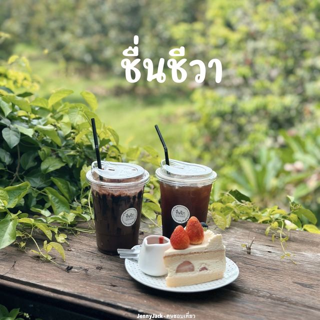 ชื่นชีวา คาเฟ่ลับระยอง ร้านเค้กอร่อยมาก