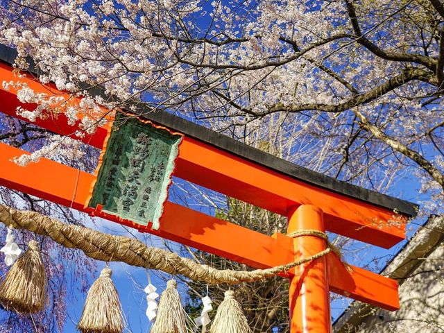 榴岡天滿宮賞花