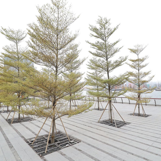 「2024年春天好去處！九龍城海心公園，立法會擴建計劃已通過！」
