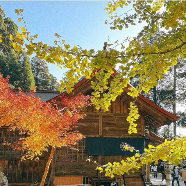 【福岡観光】福岡県添田町にある県内唯一の神宮
