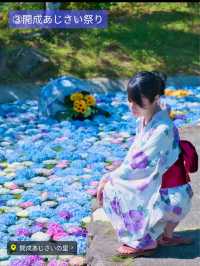 〜神奈川県〜穴場〜ライトアップまで！紫陽花スポット6選！