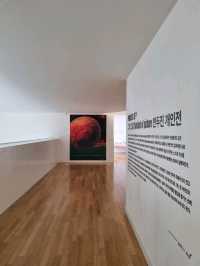 파주 미술관의 원탑!