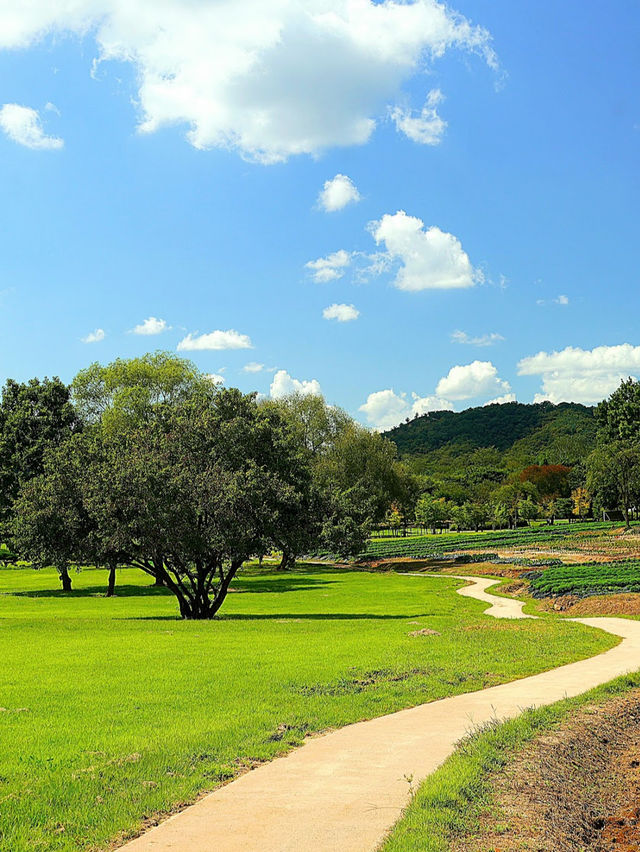 Yeoncheon jeongokri ruins 