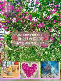 〜沖縄県〜宮古島ユートピアファーム