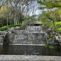【高雄中央公園】休閒娛樂好去處