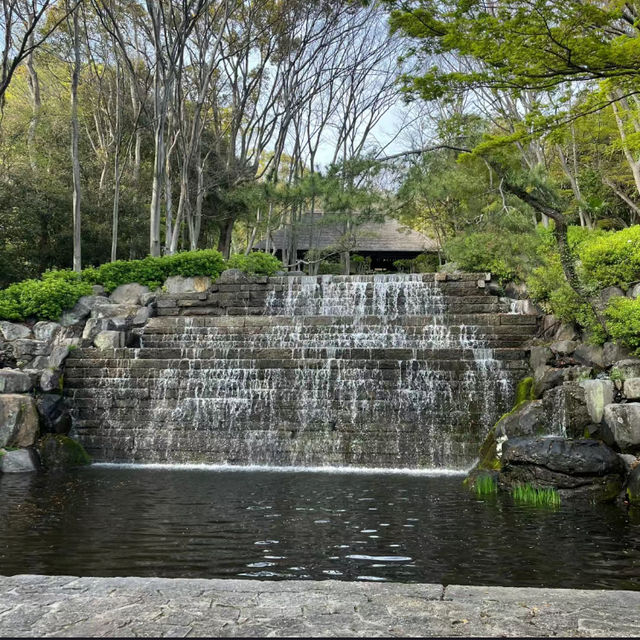 【高雄中央公園】休閒娛樂好去處