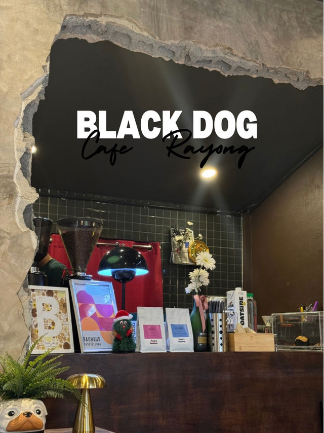 Black Dog Cafe 🐾
