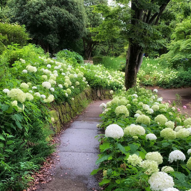 「羊山公園：絢麗花海，白日夜晚皆美」