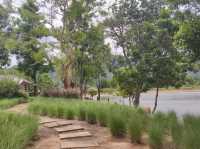 Pirom Cafe @ Khaoyai