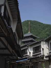 福井と言えばの越前大仏。