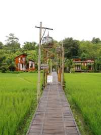 Rainy Day - บ้านนาก๋างโต้ง คาเฟ่กลางทุ่งนา