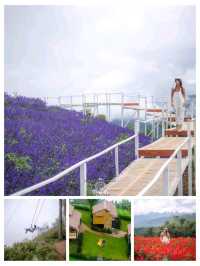 แชร์พิกัดที่เที่ยวที่พักเชียงใหม่หน้าฝน