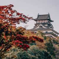 เที่ยวเมืองไวบ์เอโดะ อินุยามะ (Inuyama)🎎