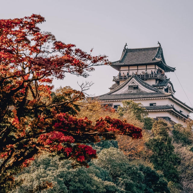 เที่ยวเมืองไวบ์เอโดะ อินุยามะ (Inuyama)🎎