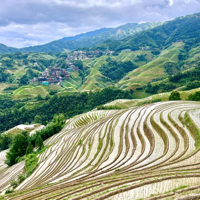 Jaw-Dropping Longji Rice Terraces - A Bucket List Destination in China