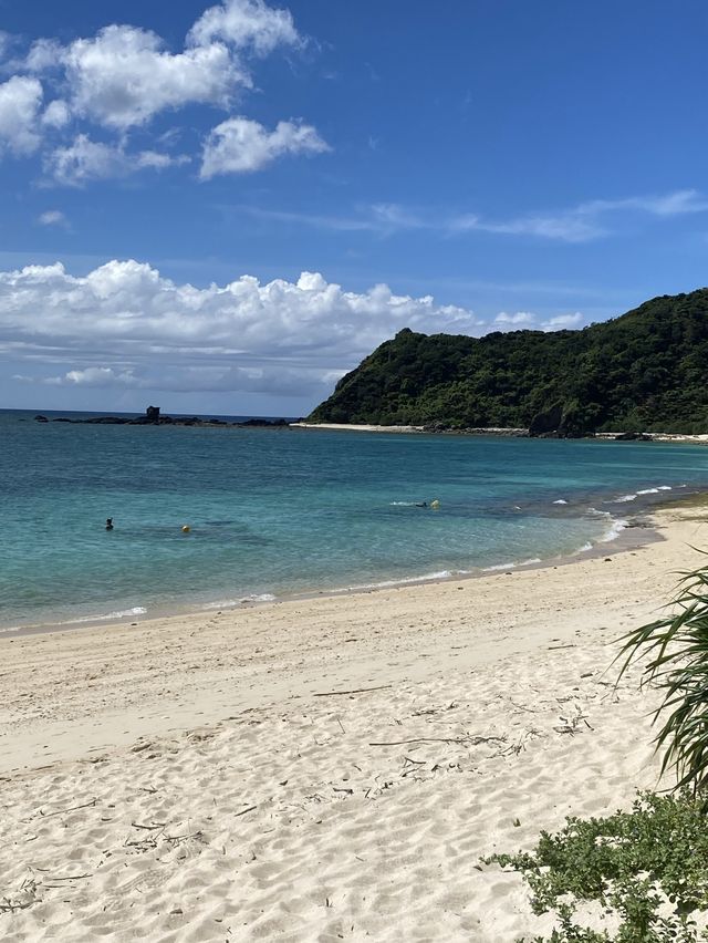 【奄美】南国！フォトジェニック崎原海岸（さきばるかいがん）