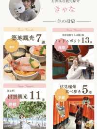 原宿NEWスポット！ハラカドの歩き方