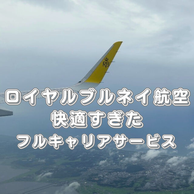 6時間飛行の中、食べすぎ問題✈︎