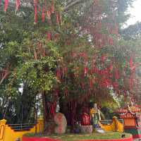 Small Town Gem At Tanjung Sepat