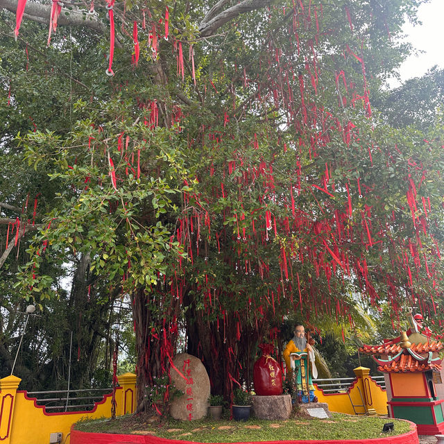 Small Town Gem At Tanjung Sepat