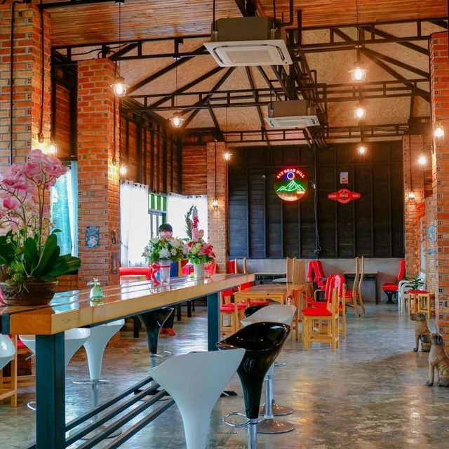 419 road hill trang