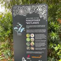 Kingfisher Wetlands Wildlife Lookout