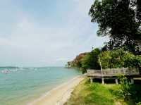 Changi Point Coastal Walk
