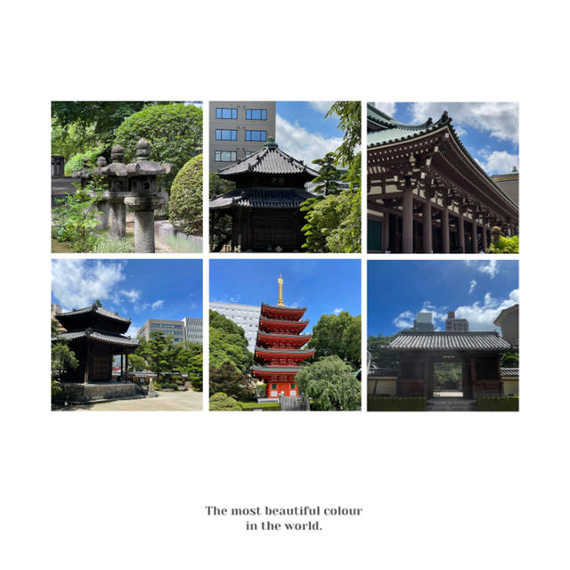 「新宿花園神社」歷史文化驛站