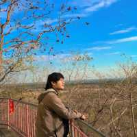 วนอุทยานแห่งชาติพนมสวาย