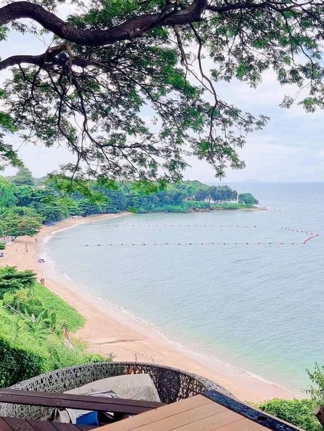 เกาะที่มีหมู เกาะไผ่ 