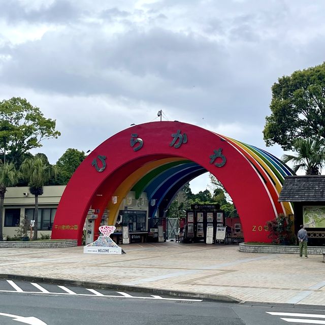 平川動物園-温泉、美景、可愛的動物，三者兼得
