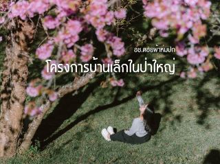 โครงการบ้านเล็กในป่าใหญ่ 